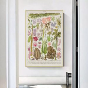 vintage seaweed poster