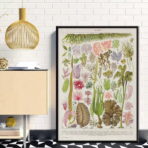vintage seaweed poster