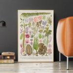 vintage seaweed poster