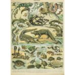 old reptiles poster