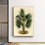 vintage botanical poster palm tree