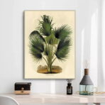 vintage botanical poster palm tree