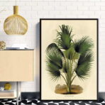 vintage botanical poster palm tree