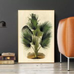 vintage botanical poster palm tree