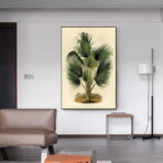 vintage botanical poster palm tree
