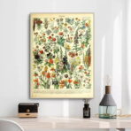 vintage botanical poster