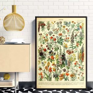vintage botanical poster