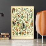 vintage botanical poster
