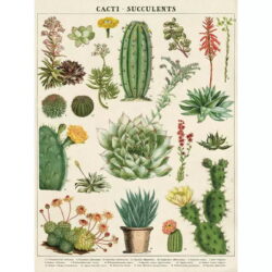 vintage cactus poster
