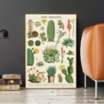 vintage cactus poster
