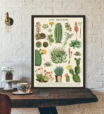 vintage cactus poster