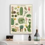 vintage cactus poster