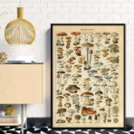 vintage mushroom poster 1
