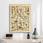 vintage mushroom poster 1