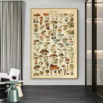 vintage mushroom poster 1