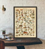vintage mushroom poster 1