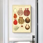 vintage shell poster