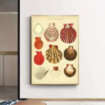 vintage shell poster