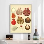 vintage shell poster