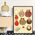 vintage shell poster