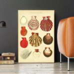vintage shell poster