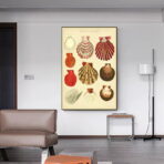 vintage shell poster