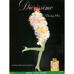 poster dior vintage