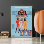 funny ladies poster