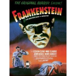 poster film frankenstein 1931