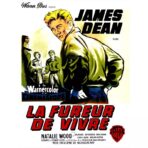 poster film the fureur de vivre