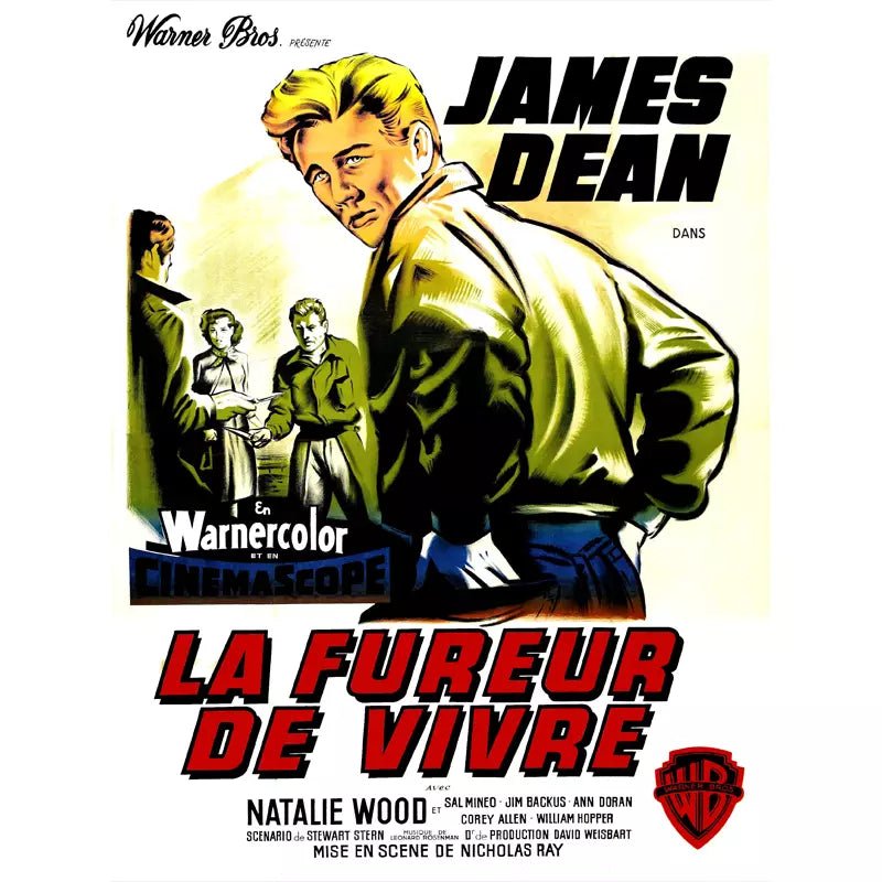 poster film the fureur de vivre poster film the fureur de vivre