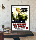 poster film the fureur de vivre