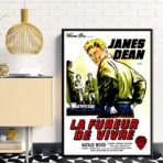 poster film the fureur de vivre