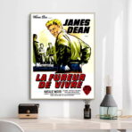 poster film the fureur de vivre