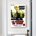 poster film the fureur de vivre