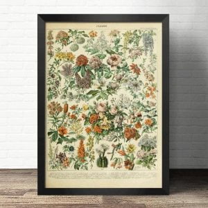 poster flowers vintage