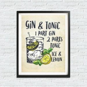 gin and tonic poster