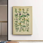 vintage herbarium poster
