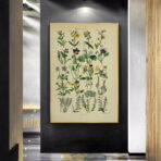 vintage herbarium poster