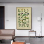 vintage herbarium poster