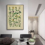 vintage herbarium poster
