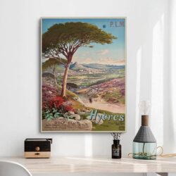 poster hyeres