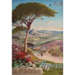 poster hyeres