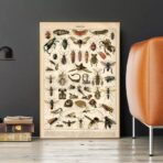 vintage insect poster 1
