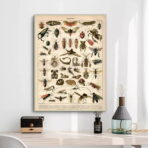 vintage insect poster 1