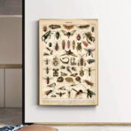 vintage insect poster 1