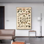 vintage insect poster 1