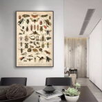 vintage insect poster 1