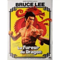 poster the fury of the dragon