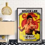 poster the fury of the dragon